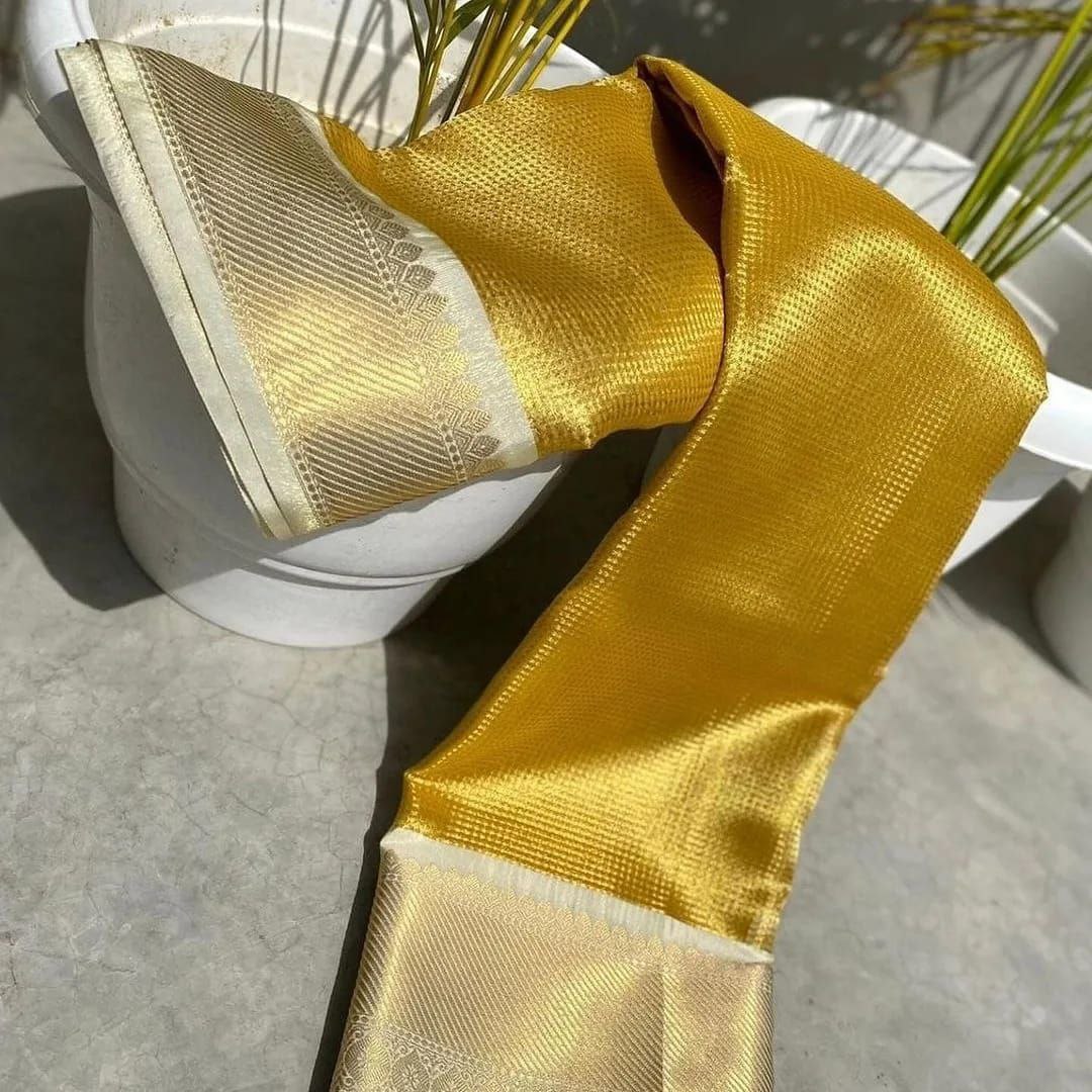 Brocade Tissue Silk Saree