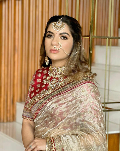 Soft Twill Net  Sequins and Dori Embroidery with Fancy Lace Border  Saree